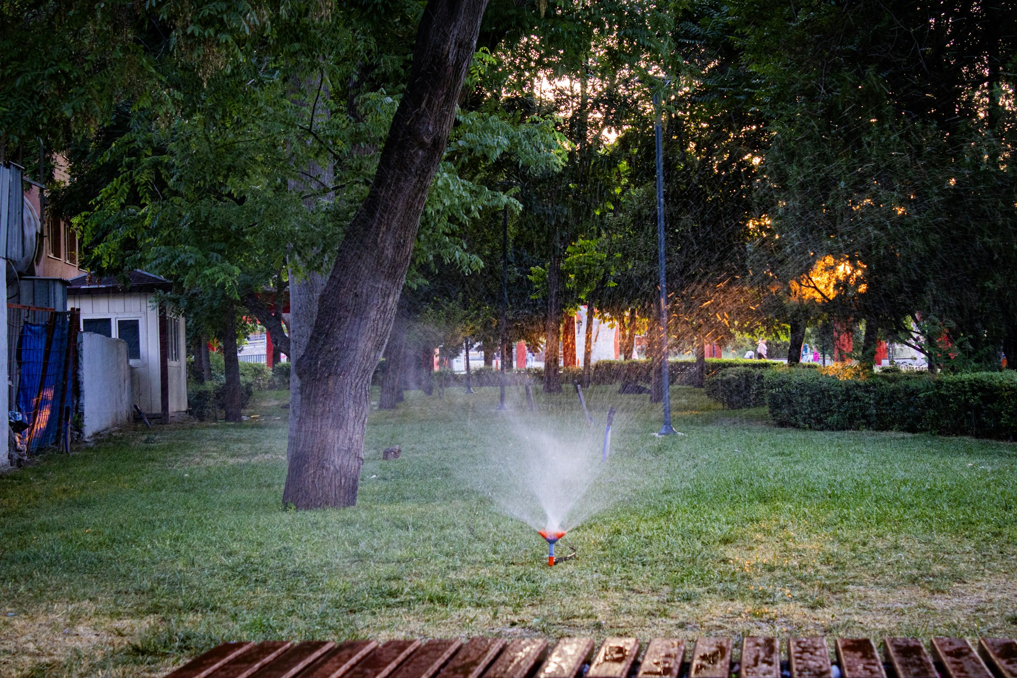Smart irrigation